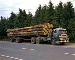 J A Caufield Ltd. Rotorua. Leyland logging truck. Photographed 5 October 1966