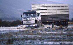 Heavy-duty truck crossing a flooded area in Northern Southland, showcasing off-road capability and rugged performance. Truck navigating flooded terrain in Northern Southland.
