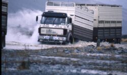 A powerful truck crossing a flooded area, demonstrating durability and off-road capability in challenging conditions. Heavy-duty truck driving through flooded terrain with water splashing around.