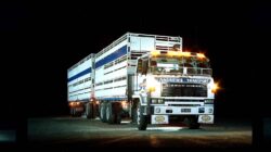 MD4802 was the first Nissan Diesel sold by CVC and it went to Andrews Transport of Riversdale in Southland.
This model proved particularily popular in Southland and Otago the CWA series help establish the brand in the region.