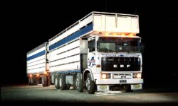 Livestock trucks enjoyed a slackening of the distance regulations prior to deregulation in the mid eighties, and the eight-wheeler and three-axle trailer combination was well established by then.
Over-cab penstocks were a common sight in New Zealand during the eighties and nineties, but as cabs got higher, and lengths got longer, the need for them dried up.
A great example of a brand not longer on our roads, and this picture was taken when Andrew’s had a variety of other brands in the livery, including Mack which where starting to highlight the shortcomings of this Brit.
It’s always hard to cut the apron strings, but once import restrictions were lifted and the British products were no longer protected – they were shown to be wanting in the technology and durability race.
The bell finally tolled for a brand that gave great service to this country but it rightly deserves to be remembered.
