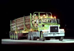 Don Carson had quite a diverse fleet at the time this shot was taken in late ’80s.
The NL12 Volvo was working under logs on what was a reasonably comment configuration in the day – a quad-axled semi .
Other brands in the fleet included Mack and ERF which showed that operators usually hedged their bets as the swarm of new and often untested brands were pouring into the country. Mack and Volvo of course have stood the test of time on our shores – ERF, however, fell by the way after a history of 100 and more years of putting trucks and traction-engines to work on our shores.