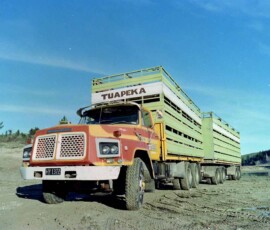 A classic truck loaded with livestock crates parked outdoors on a sunny day. Old truck with livestock crates on a dirt road under a clear blue sky.