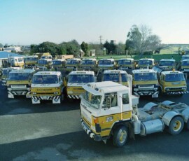 Large truck fleet parked outdoors, showcasing diverse commercial vehicles for logistics. Fleet of yellow and white trucks parked outdoors on a sunny day.