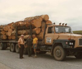 Three men standing beside a logging truck loaded with timber on a country road. Logging truck carrying large logs in a rural setting.