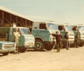 A row of vintage trucks and cars parked outside a warehouse, emphasizing classic vehicle design and trucking history. Vintage trucks and cars lined up outdoors, highlighting historic vehicle models and trucking heritag.