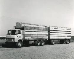 A fine example of a Nissan Diesel Rhino of the era which worked for Frank Anderson of Alexandra.
This model Nissan revolutionised trucking wwhen introducted in the late sixties by providing a truck significantly more powerful, far more durable and with tandem drive at a time when that package was hard to find, at an affordable price....