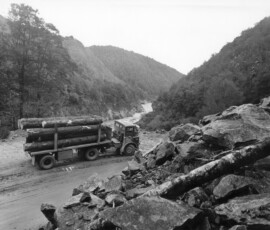 buller gorge.jpg