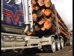 We go bush with some of the rigs that work in New Zealand's largest forest - the Kaingaroa, where Tri-drives and logging trains move big loads, Kenworth, Western Star, Pacific, Mack and others from thirty years ago. Truck Files 2 - Oversize