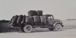 This 1946 Reo Speedwagon was bought by Bill Carson of Balfour and worked in Northern Southland for the company which became Carsons Transport in 1964.