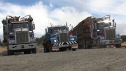 The 60's was an era of great change, exemplified by this truck... Legacy - 1965 KW - Steptoe.m4v