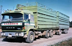 A fine example of what was required from a truck in the 1980s.
Seen here under livestock crates, this combination could also be converted to a tipper with bins in about 20 minutes.
The days of specialisation were on the horizon but rural trucks were engineered to be adaptable to the job in hand.
This Mack Midliner could gross out at 39-tonne in the eighties, but a modern combination could have nine-axles and gross at 50-tonne.