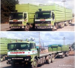2 of our 5 Volvo's FL10 & FL12. 1982 Mitsubishi 315 wanted a look in too